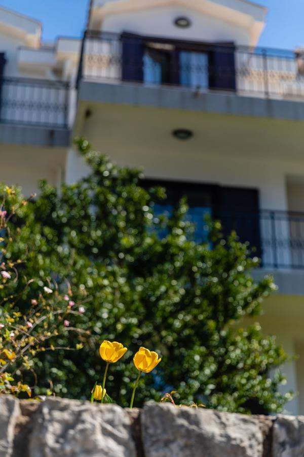 Apartments Miramar Kotor Eksteriør bilde